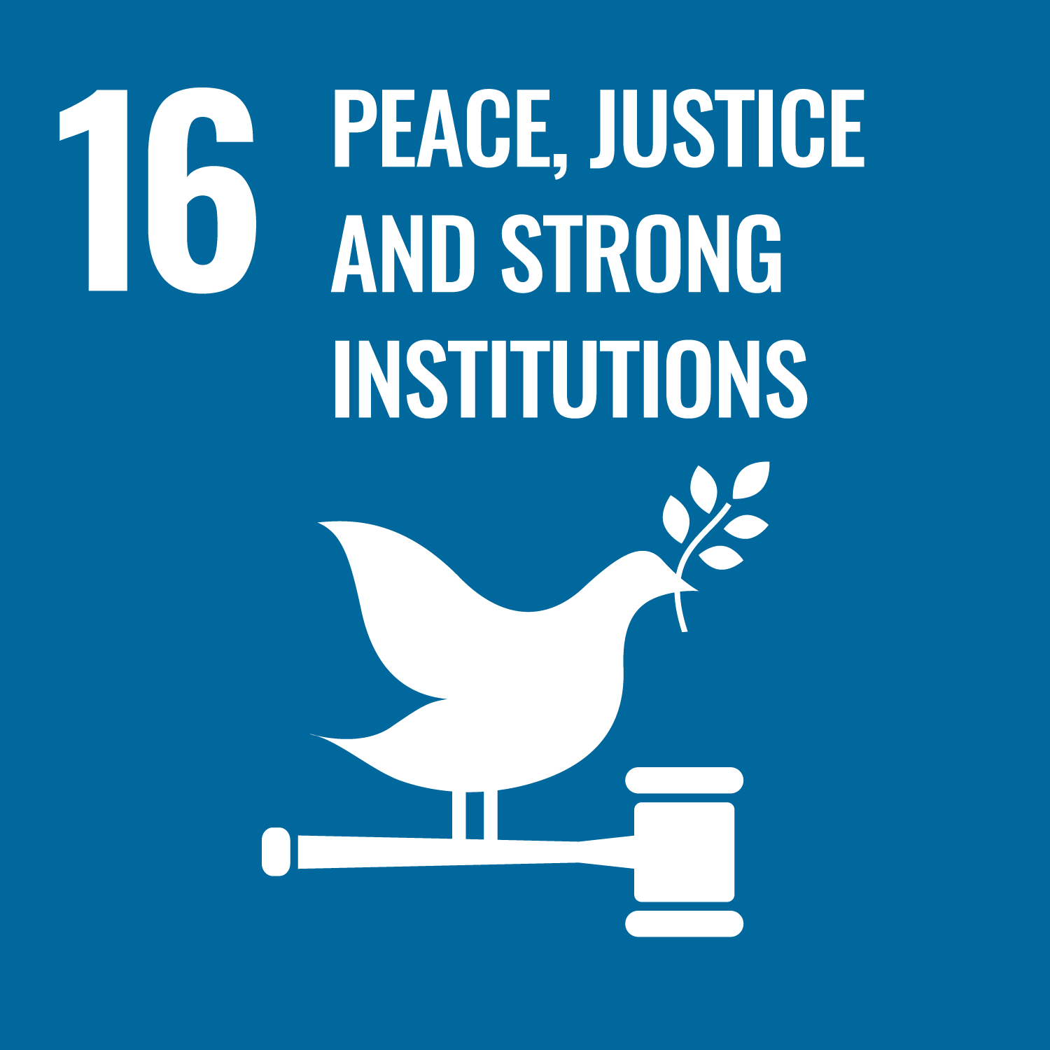 Target 16．Peace, justice and strong institutions