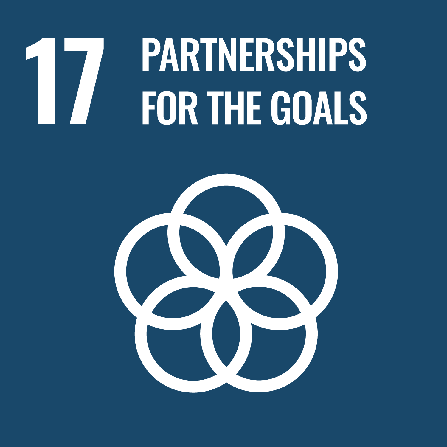 目標17．Partnerships for the goals